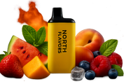 North Flavors Vape Review 2026: Top Devices & Best Flavors