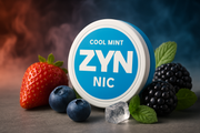 What Makes Zyn Nicotine Pouches Stand Out in 2026?